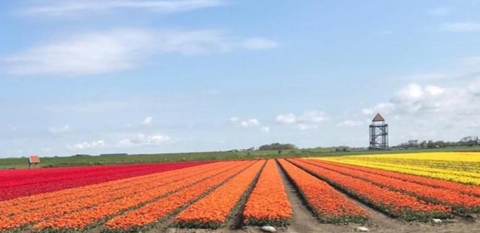 Willa "Op Stok" Bergen Zewnętrze zdjęcie